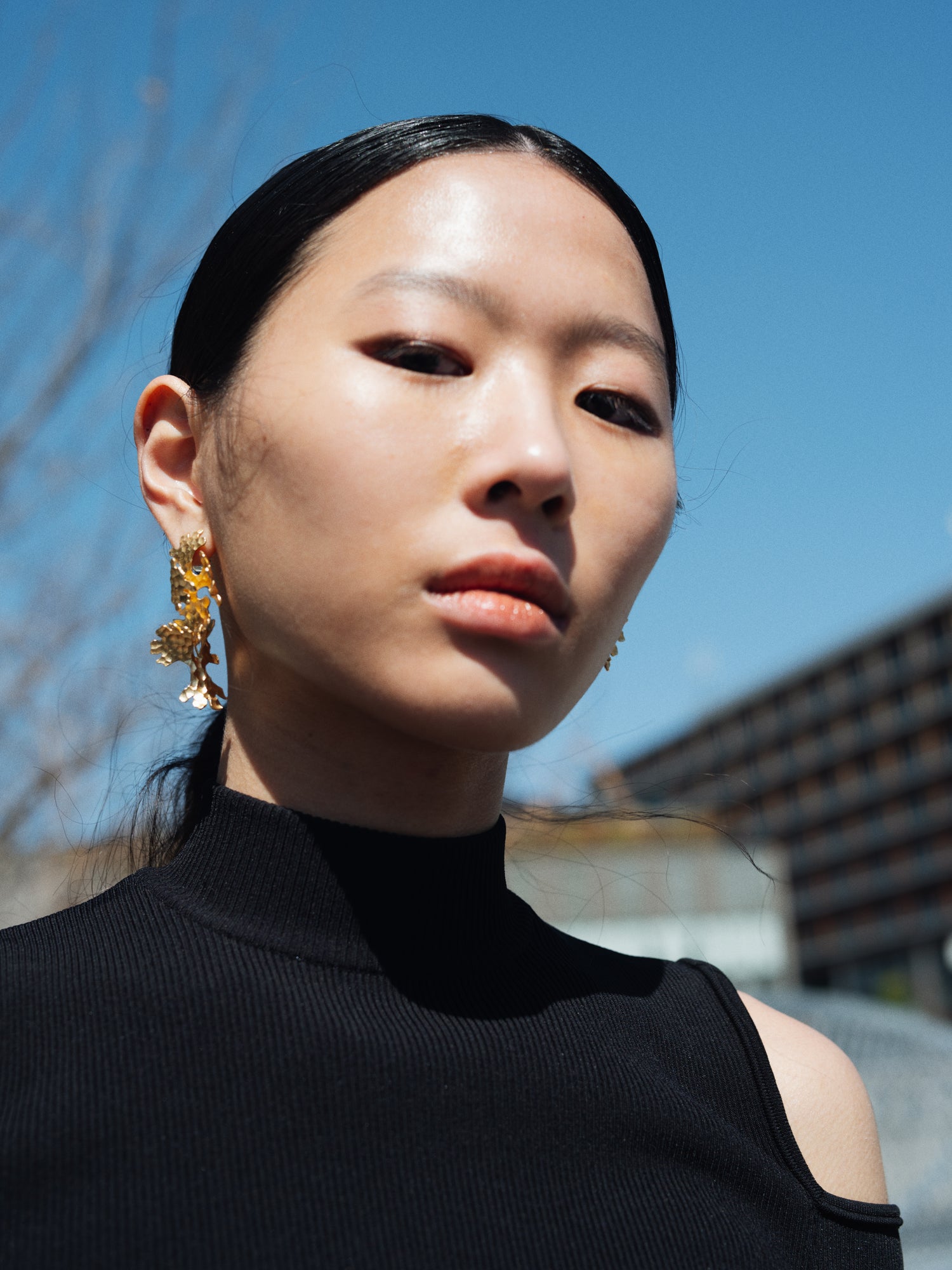 Tundra Earrings 2-piece bronze