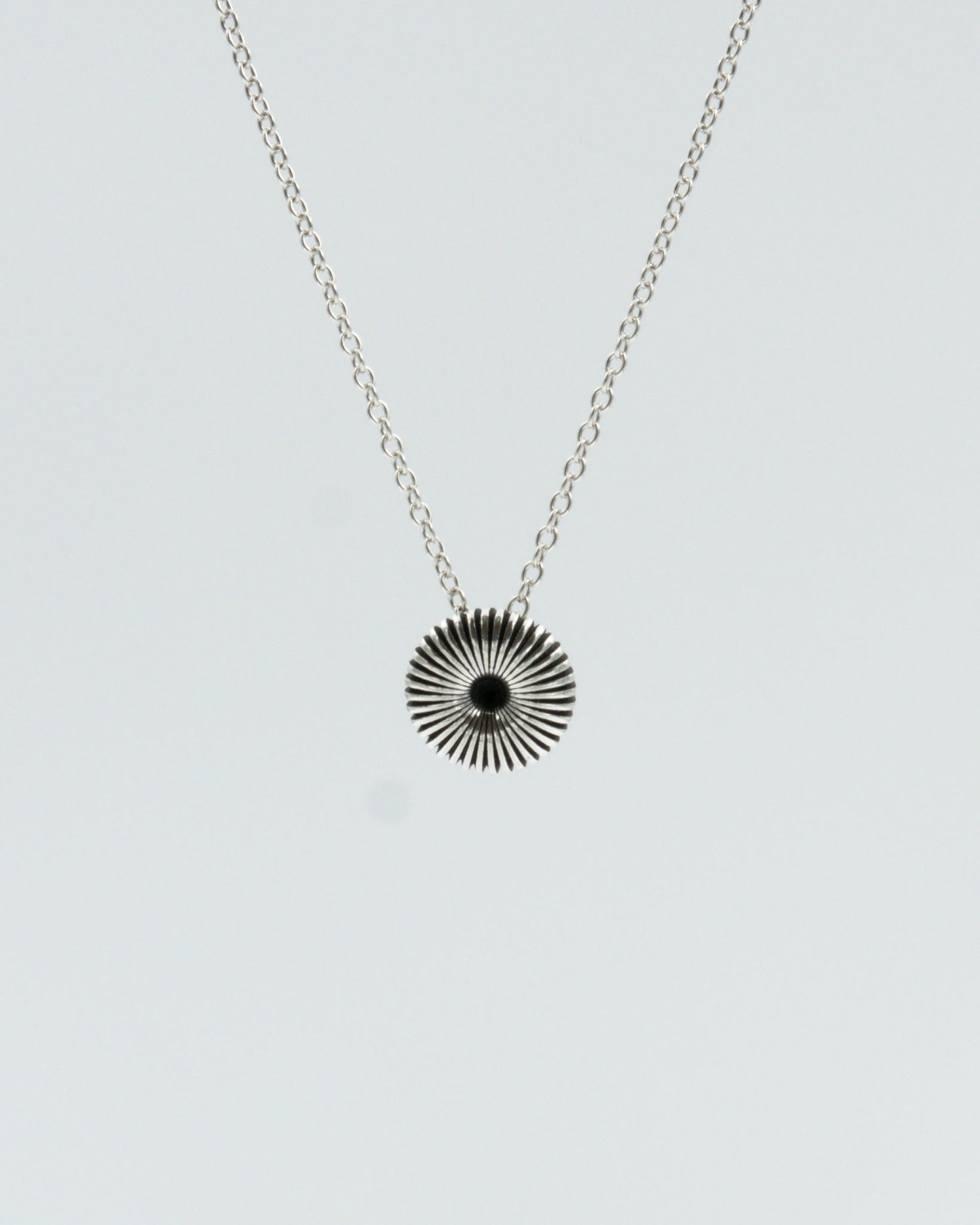 Pidetty Pyörre-riipus hopea