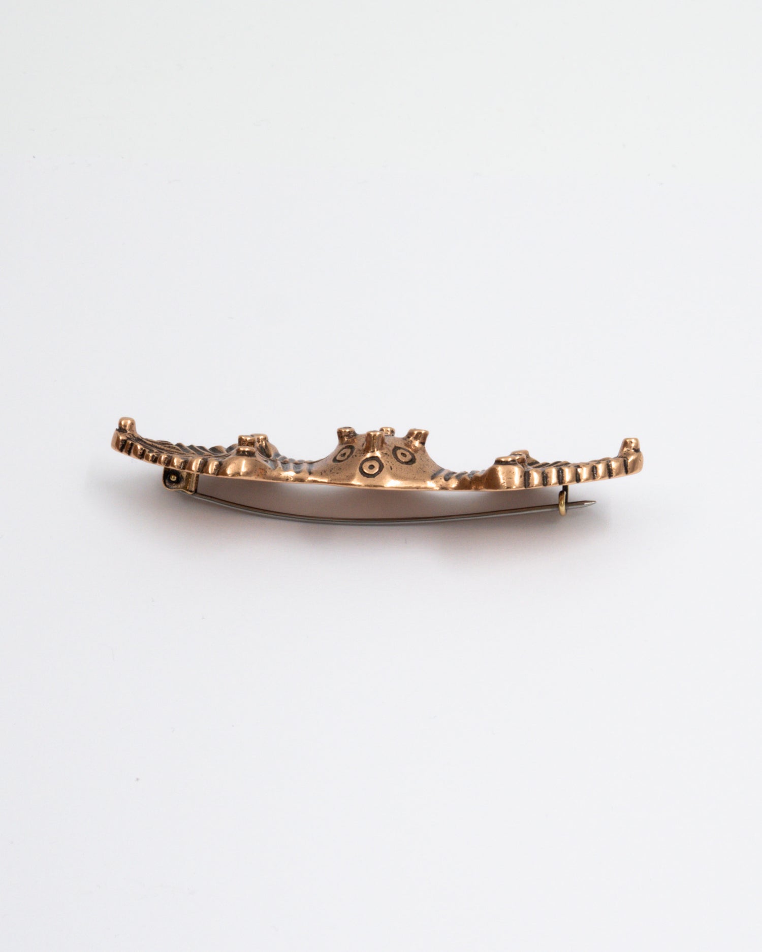 Pidetty Vanhalinnan solki pronssi