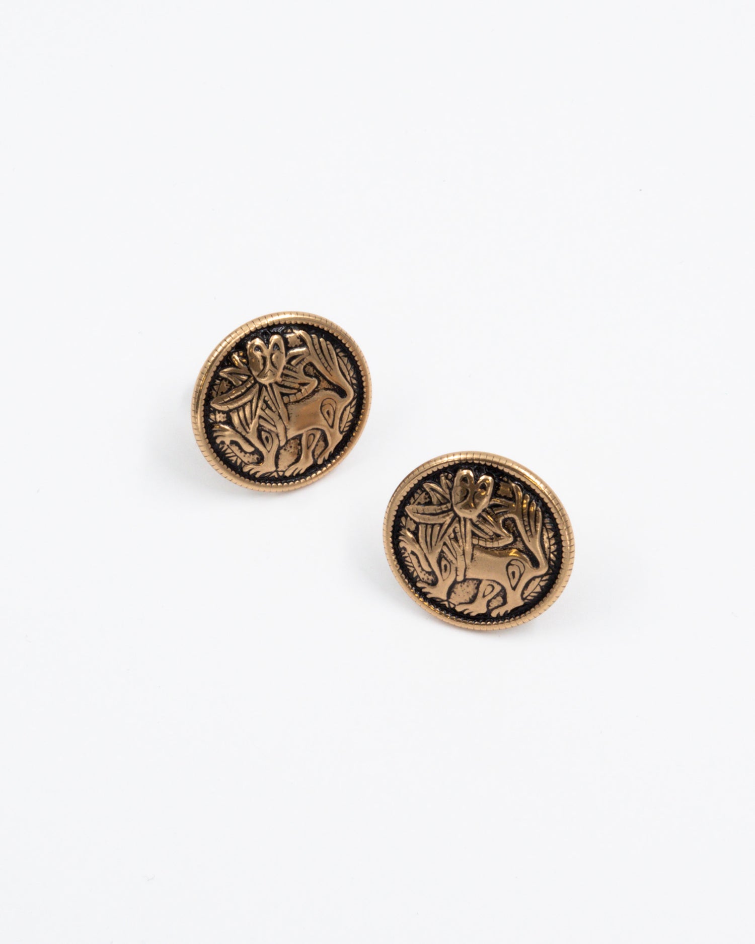 Pidetty Aurinkoleijona-korvakorut isot pronssi klipsi