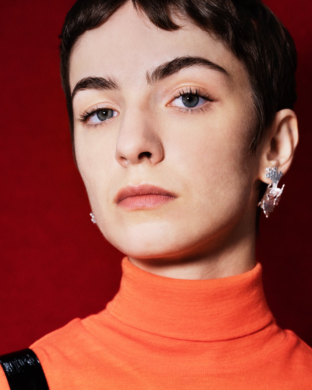 Tundra-korvakorut hopea