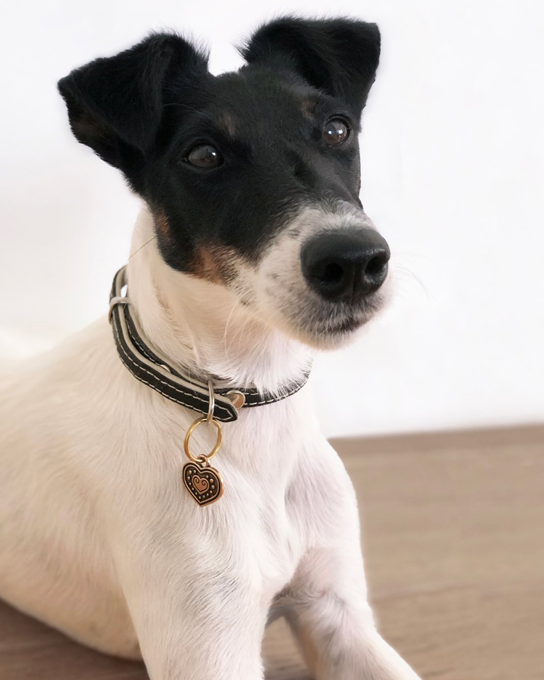 Euran sydän -lemmikkikoru