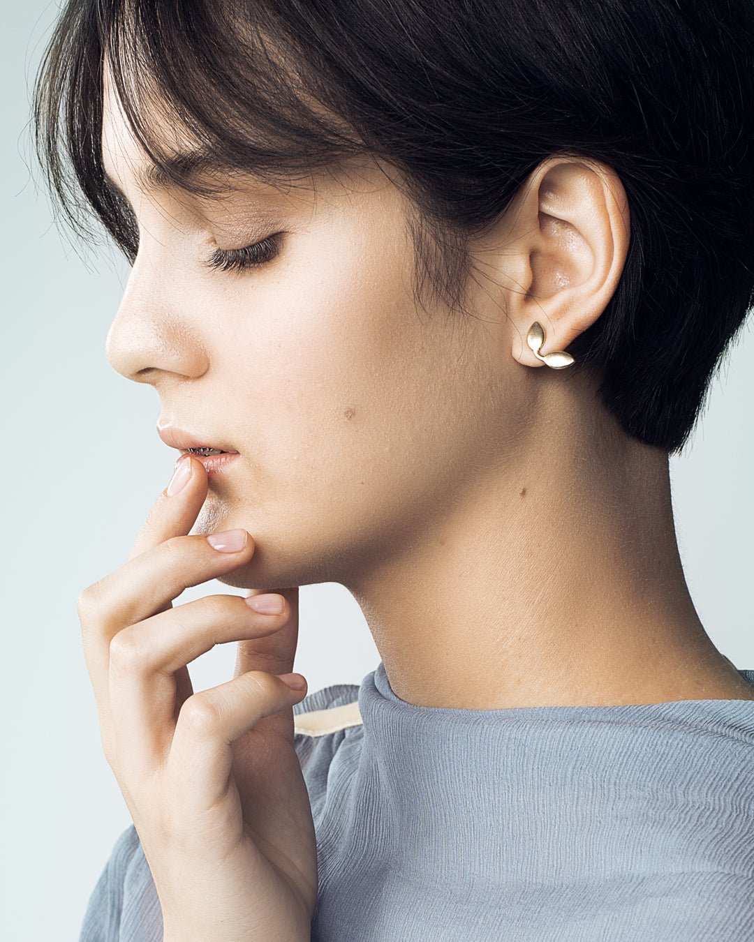 Taimi-korvakorut hopea