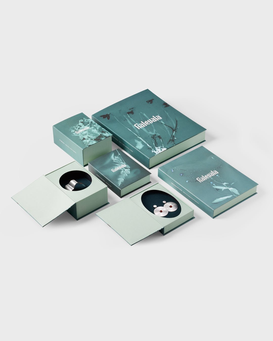 Valoisa-korvakorut hopea