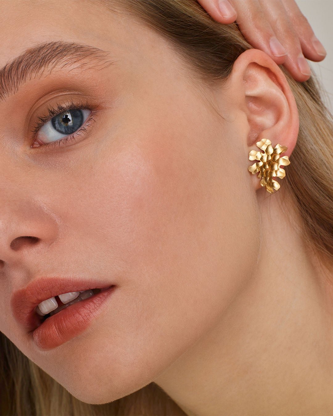 Tundra-korvakorut pienet pronssi