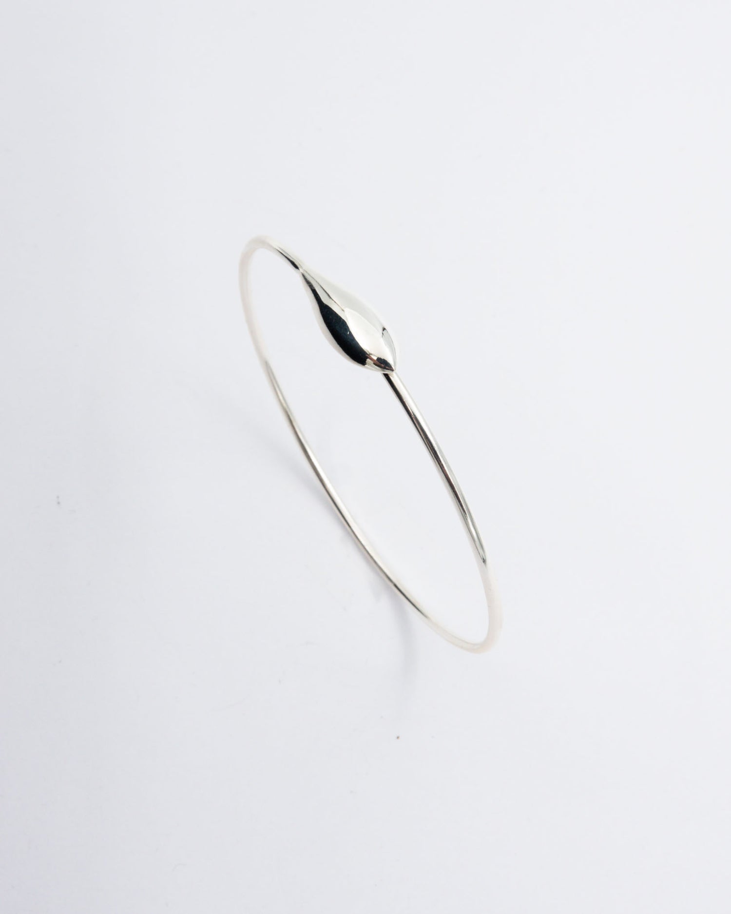 Pidetty Doris-rannekoru hop